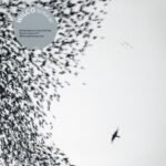 Wilco | Sky Blue Sky | Vinyl
