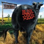 Blink-182 | Dude Ranch | Vinyl