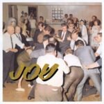 Idles | Joy as An Act of Resistance | Vinyl