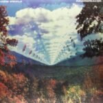 Tame Impala | Innerspeaker | Vinyl