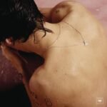 Harry Styles | Harry Styles (180G/Gatefold) | Vinyl