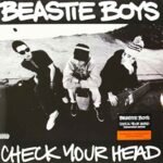 Beastie Boys | Check Your Head | Vinyl
