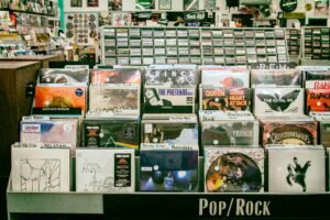 Record store flip bin