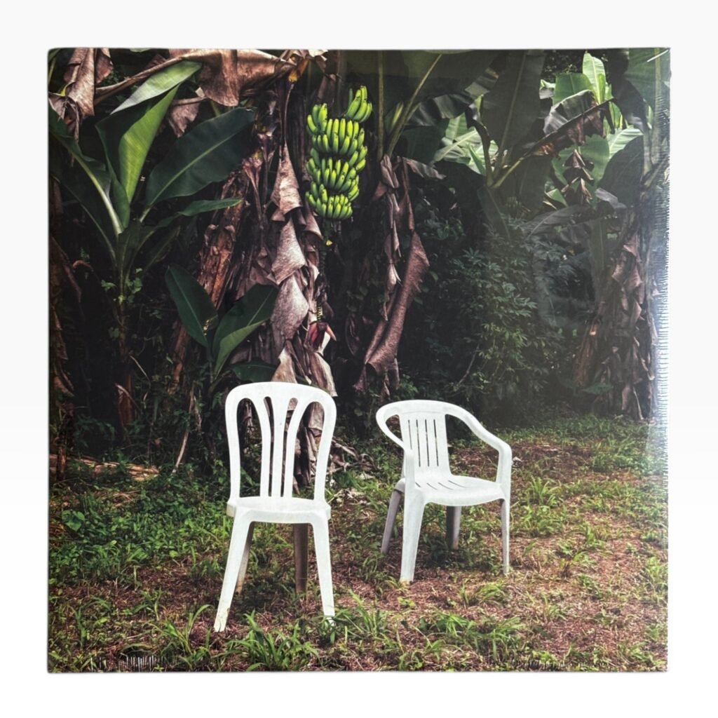 Two white plastic chairs in front of a lush tropical banana tree.
