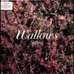 Wallows | Spring EP (X) | Vinyl