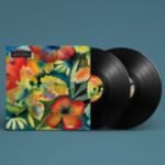 Adrianne Lenker | Songs & Instrumentals | Vinyl