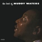 Muddy Waters | Best of Muddy Waters | Vinyl