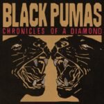 Black Pumas | Chronicles of a Diamond | Vinyl