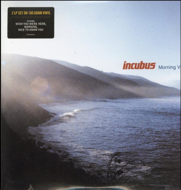 Incubus Morning View vinyl album cover artwork featuring a misty coastal landscape.