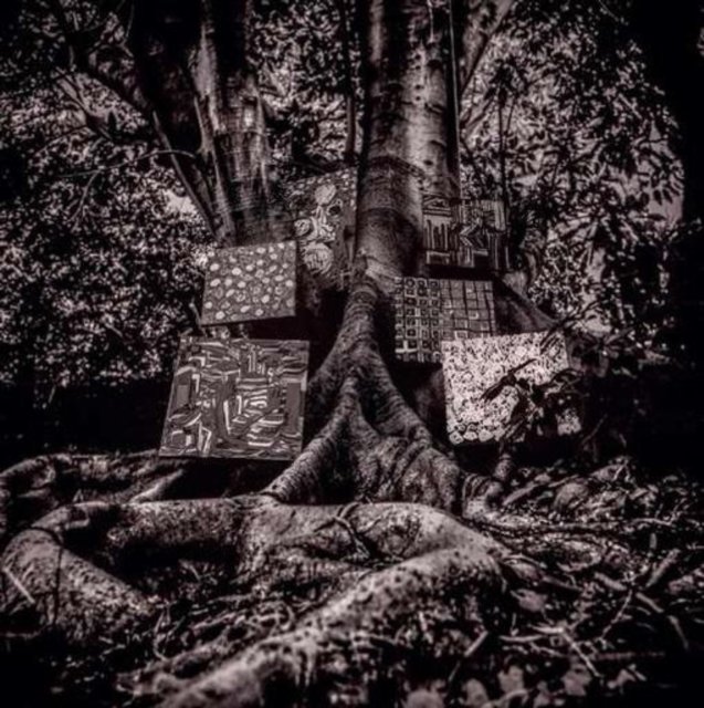 Monochrome photo of abstract art canvases nestled within massive, gnarled tree roots.