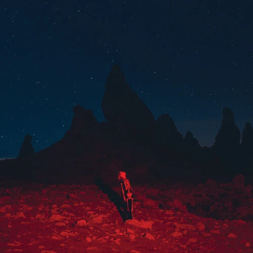 A skeleton standing in a red glowing desert under a dark, starry night sky.