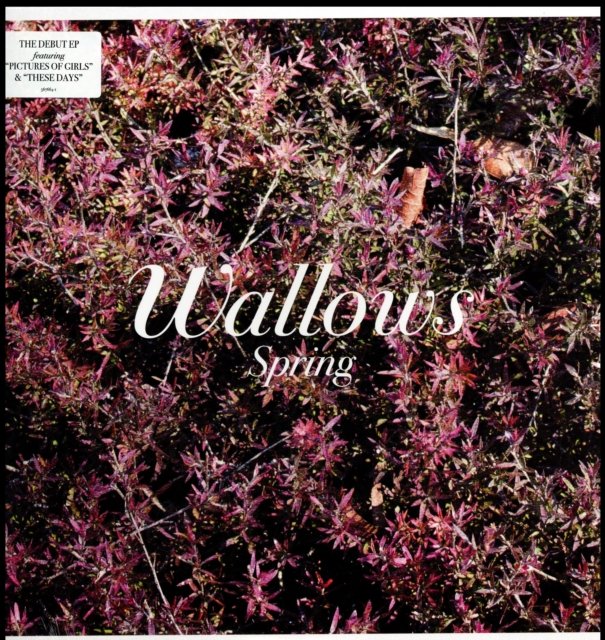 Album cover art for Wallows EP Spring, featuring dark red foliage and cursive text.