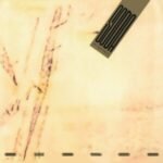 Abstract minimalist album cover featuring organic sepia streaks on a textured parchment background.
