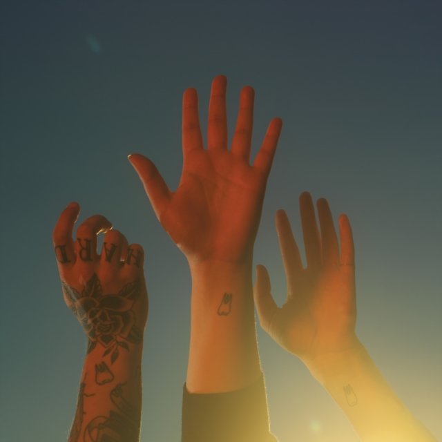 Three tattooed arms raised toward the sky in warm sunlight.